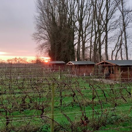 Wijndomein De Vier Ambachten -Overnachten In De Wijngaard Simonshaven Екстер'єр фото