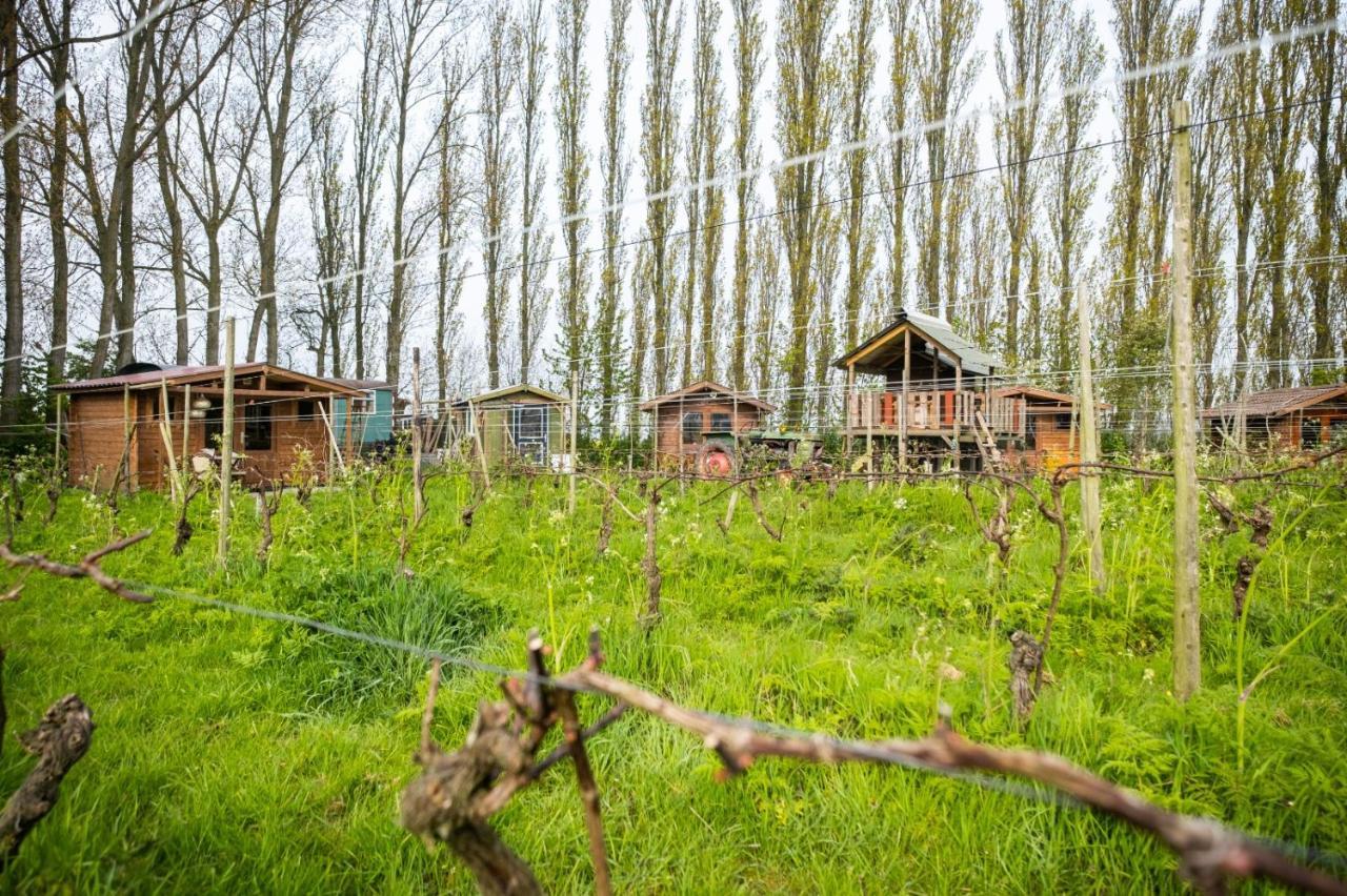 Wijndomein De Vier Ambachten -Overnachten In De Wijngaard Simonshaven Екстер'єр фото