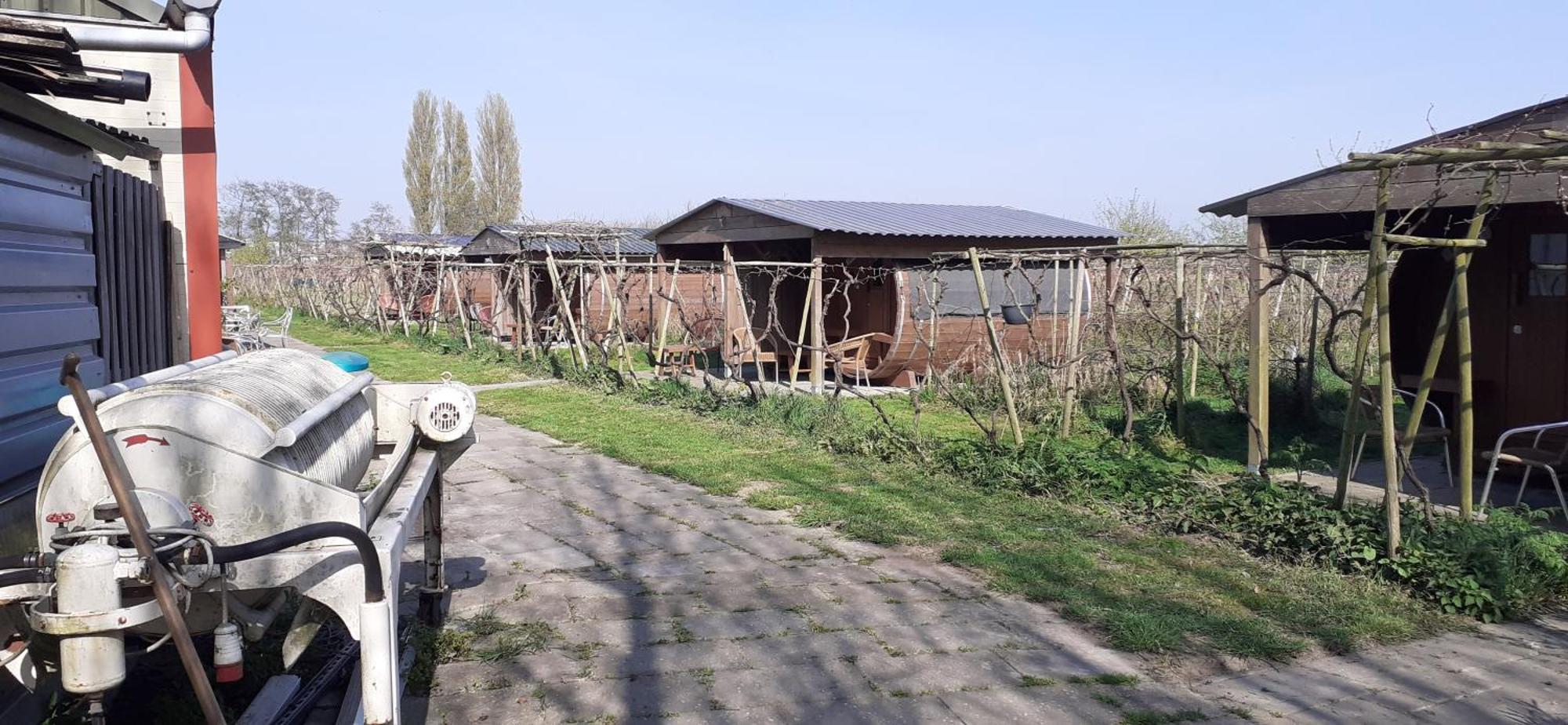 Wijndomein De Vier Ambachten -Overnachten In De Wijngaard Simonshaven Екстер'єр фото